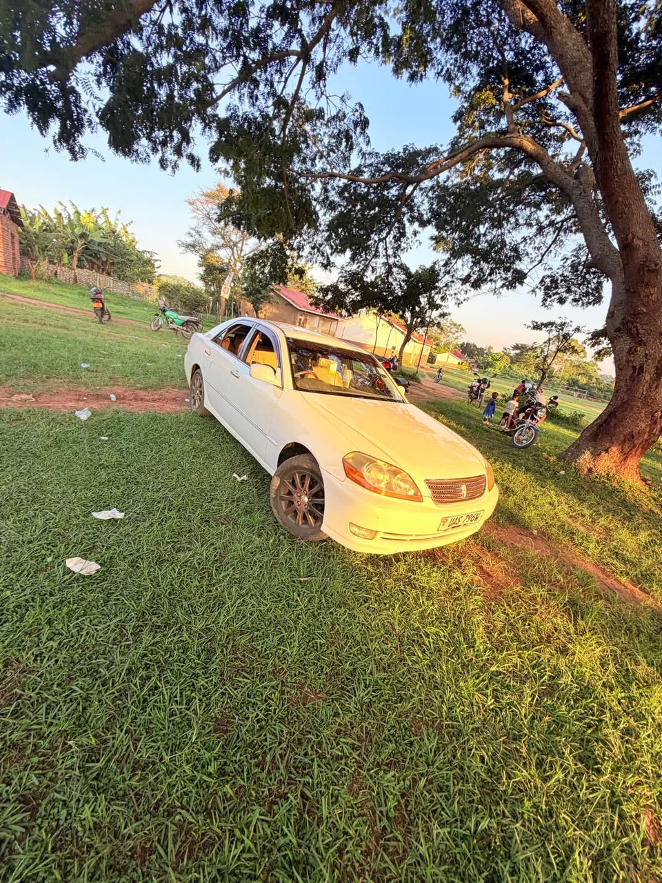 coupe