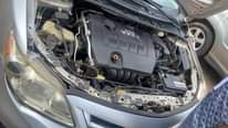 A picture of Toyota Corolla 013