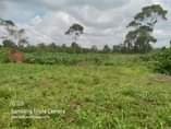 A picture of Acres for sale