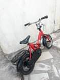 A picture of Bskle