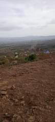 A picture of nauza eneo la Highview