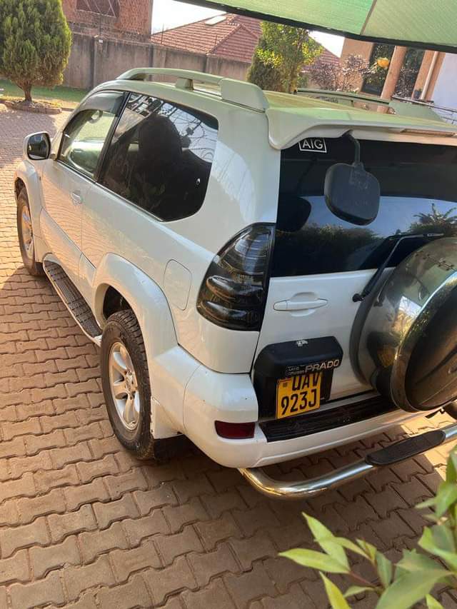 used toyota prado