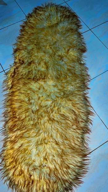 A picture of Darsh board cover