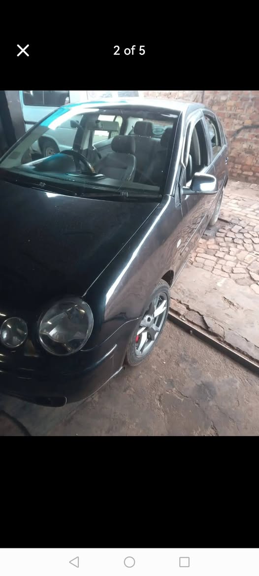 polo bujwa