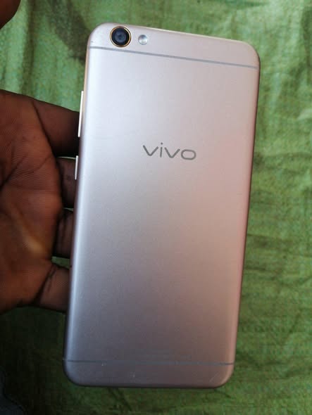 vivo