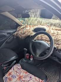 A picture of VITz 