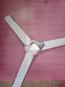 A picture of PANGABOI