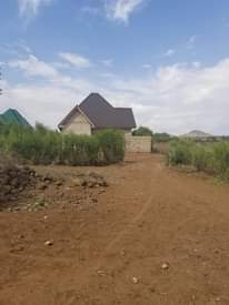 A picture of Arusha