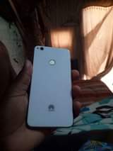 Sindisiwe L.