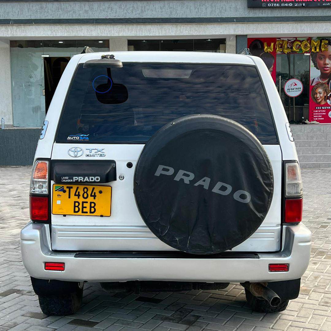 A picture of prado