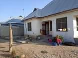A picture of 0737 61 43 71WSP 0787 96 62 96WSP