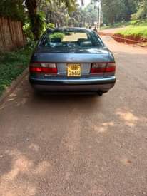 A picture of Toyota Corolla half light 13m
