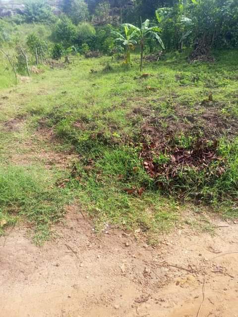 A picture of Plot 38x100ft for sale