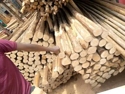 A picture of Kojja Morgan timber supplier