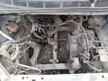 A picture of Sienna 06