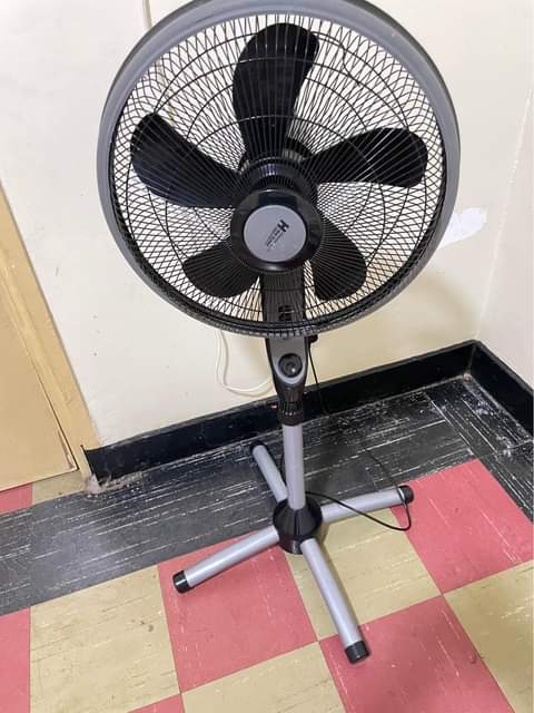fans