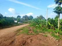 A picture of In Bujuuko after Buloba along Mityana road with ready land