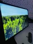 A picture of High Q 32