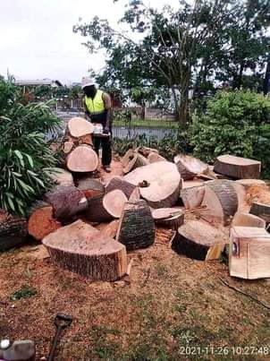 KZN C.