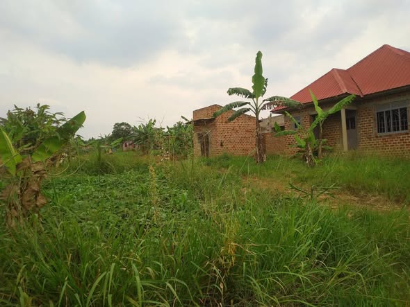 A picture of PLOTS FOR SALE