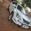 A picture of Harrier kawundo