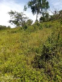 A picture of This is for 3 5 square miles leasehold 99 years