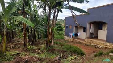 A picture of QUICK SALE 2 DOUBLE RENTAL UNITS FOR SALE 16M IN
