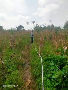A picture of Land for farming 