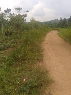 houses matugga