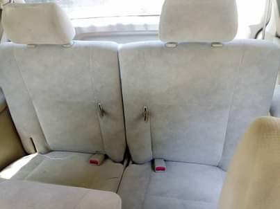 A picture of Toyota ipsum New