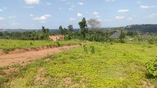 A picture of 50 by 100ft Plots For Sale GOBERO HOIMA ROAD with