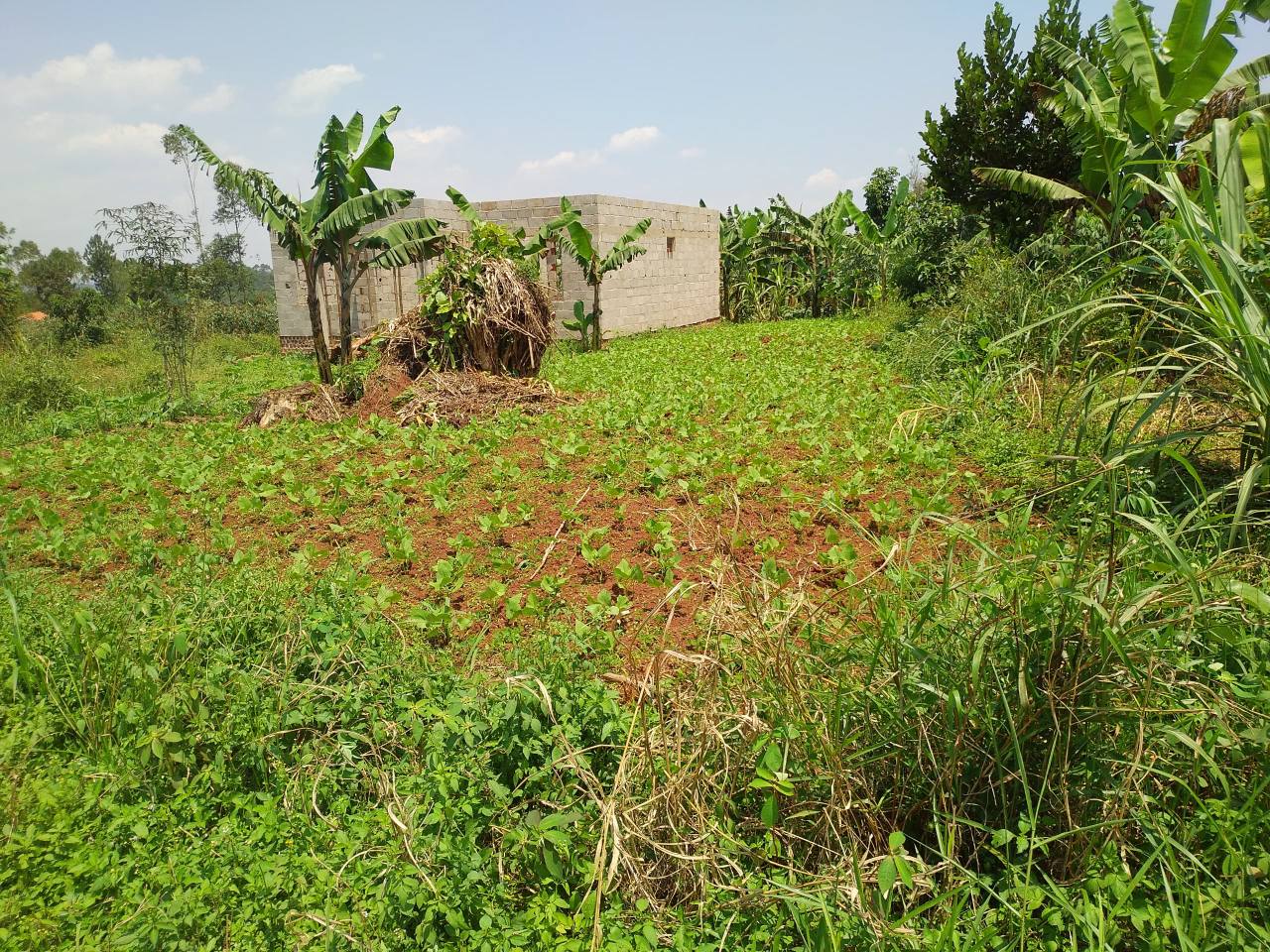 A picture of LAND FOR SALE. 35 100 100 10ft. price is 5.7m.