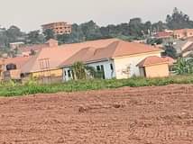 Mwesigwa B.