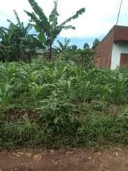 A picture of ANTI MR PROPERTY MANAGEMENT I HAVE 2 PLOTS FOR SALE