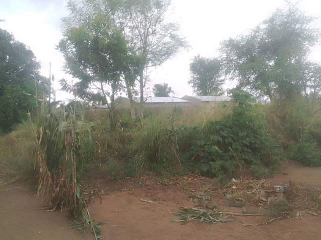 blantyre C.