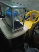 A picture of Vifaa vya chips