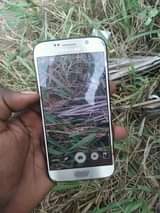 samsung galaxy s6