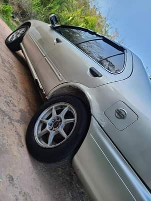 cars