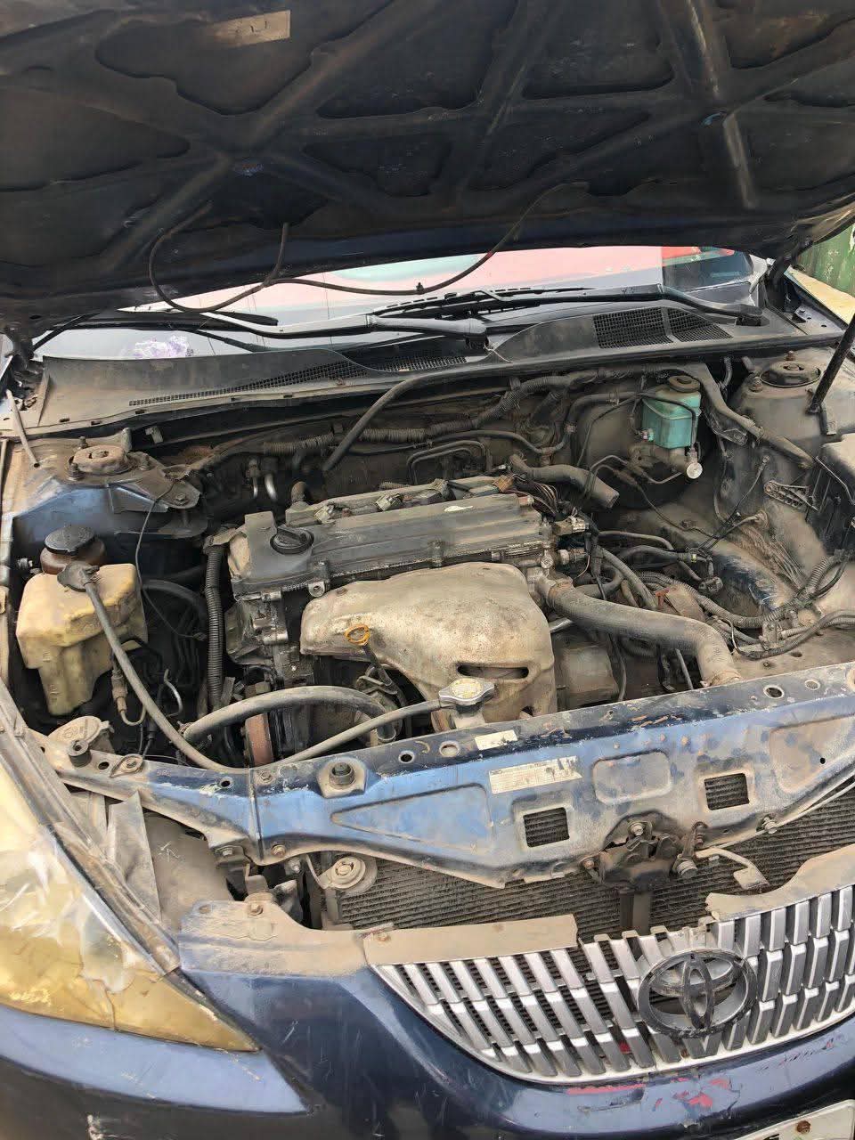 A picture of 2010 Toyota solara