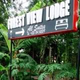 A picture of Forest View Lodge