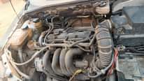 A picture of Registered 04 Ford focus