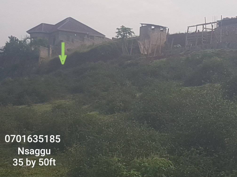 A picture of Cheap plots