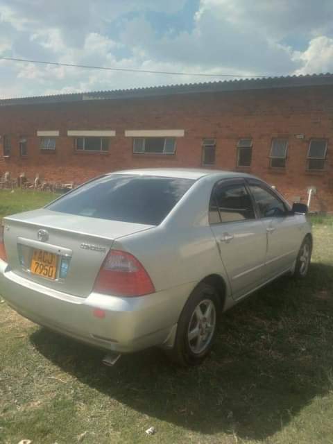 used toyota corolla