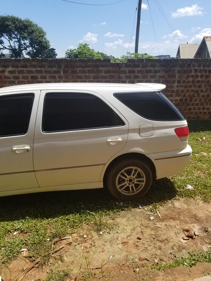 A picture of Toyota Adeo