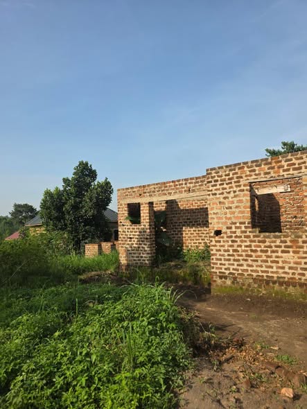 A picture of House