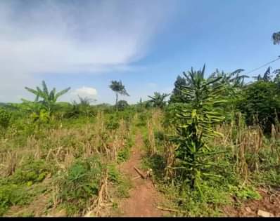 A picture of Private Mailo land in Kiti town