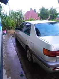 A picture of For Sale