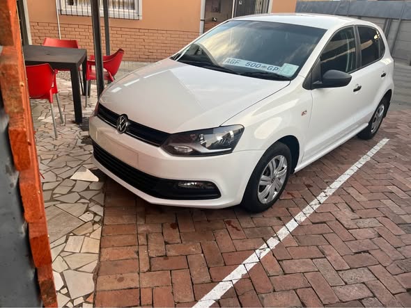polo vivo