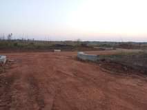 stands