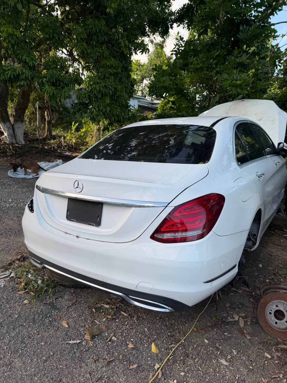 cars